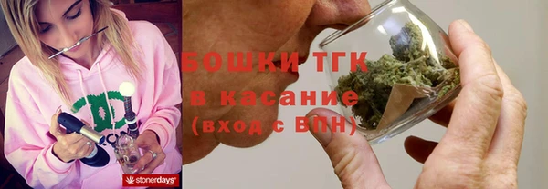 гидра Белокуриха