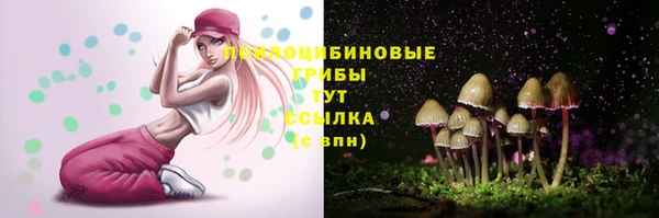 марки nbome Богданович