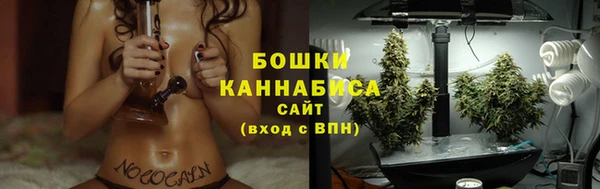 PSILOCYBIN Богородицк