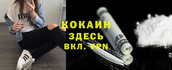 гидра Белокуриха