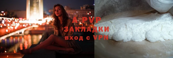 PSILOCYBIN Богородицк
