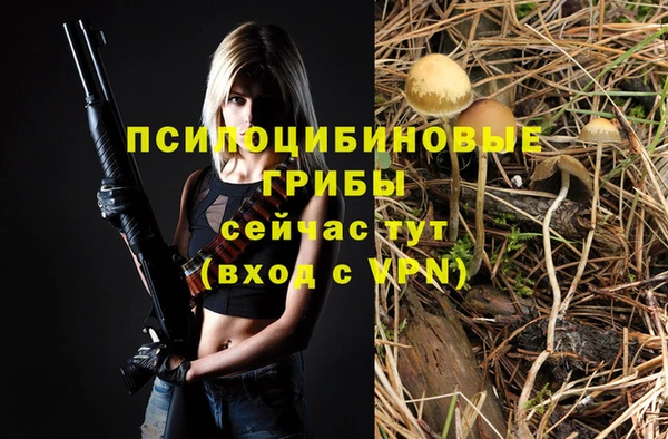 PSILOCYBIN Белоозёрский