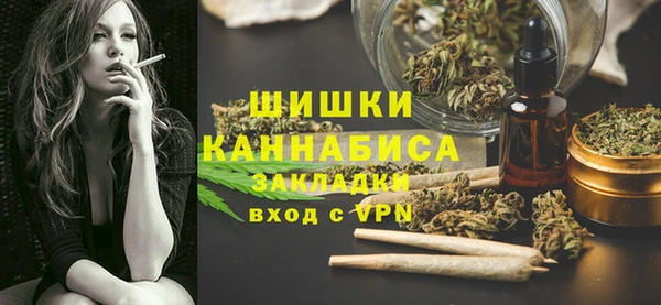 PSILOCYBIN Богородицк