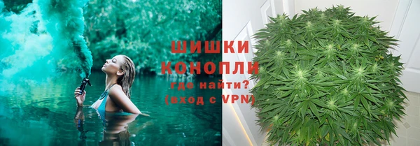 PSILOCYBIN Белоозёрский