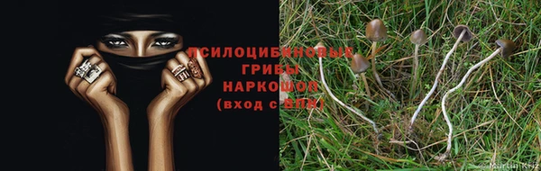 эйфоретик Богородск